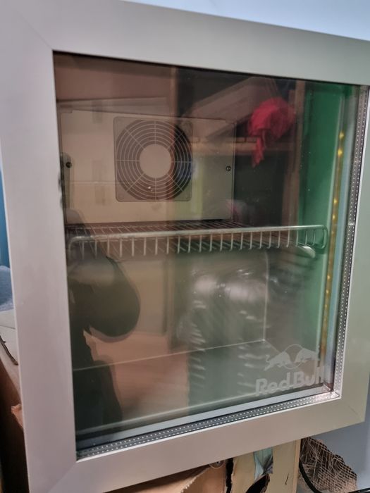 Mini- Frigiter Redbul