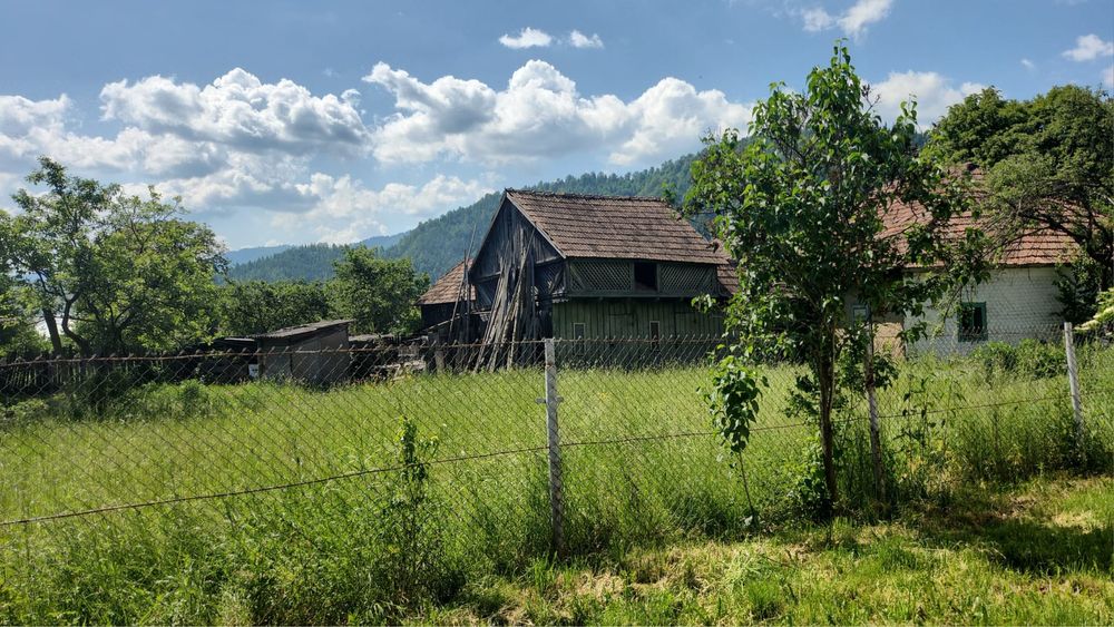 Vand Casa, Teren Intravilan si Extravilan Agas, Bacau