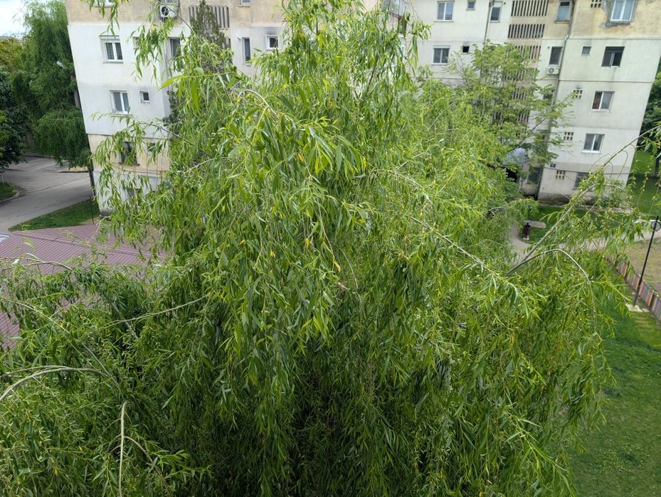 Apartament 2 camnere decomandat Centrală Renovat | Etaj 3/4