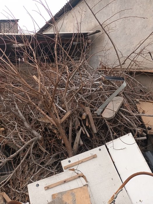 Утин сотамиз арзон