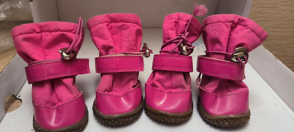 Обувь для собак средней породы