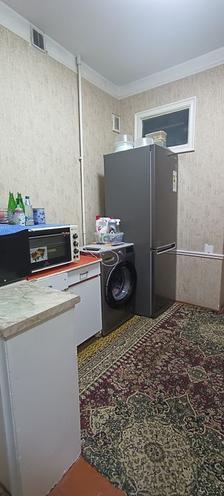 Qora qamish ,beshqo'rg'on , 2/4/5