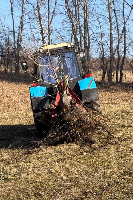 Корчеватель деревьев и пней