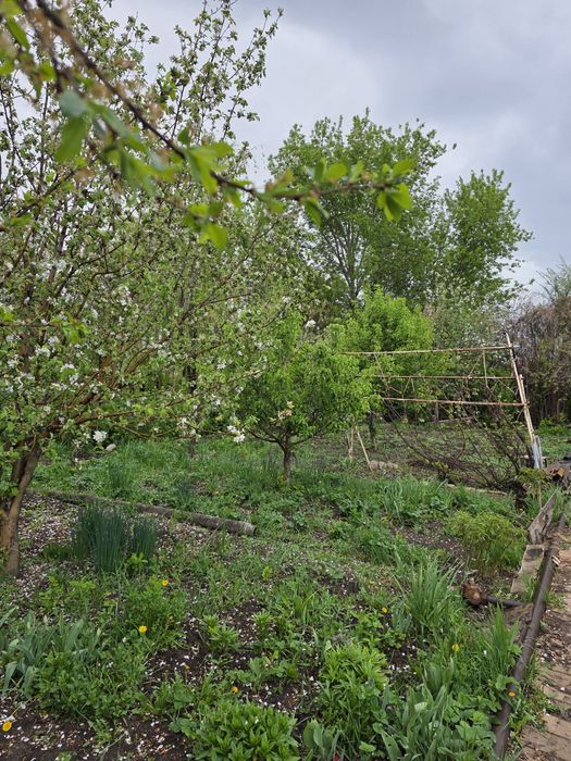 Продам дачу в кооперативе Мелиоратор