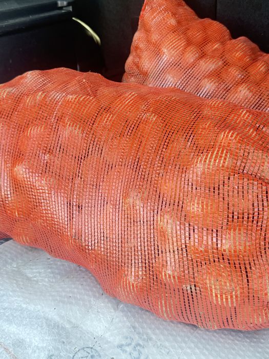 Семена картошки сорт магна