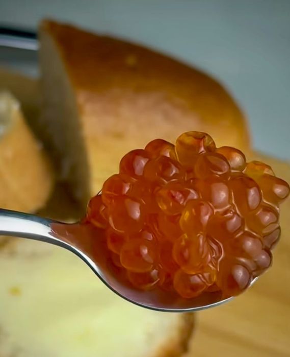 Икра оптом и в розницу