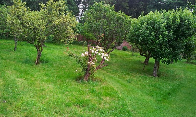 Услуги Садовника