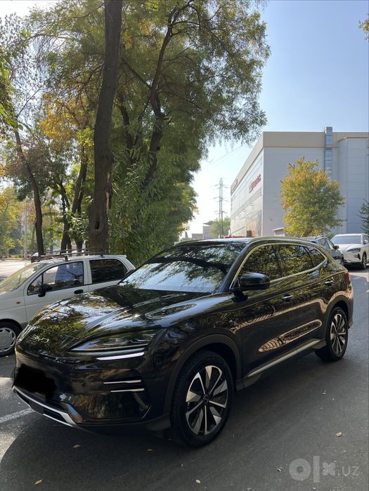BYD chempion 2025 smart