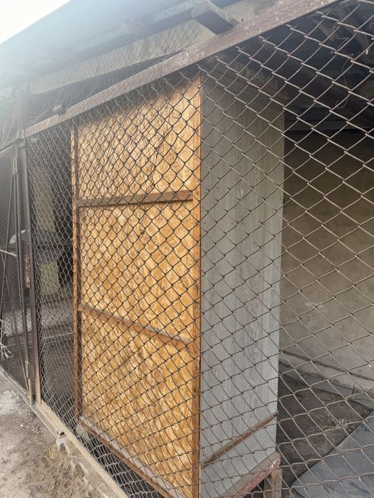 Брудер для цыплят