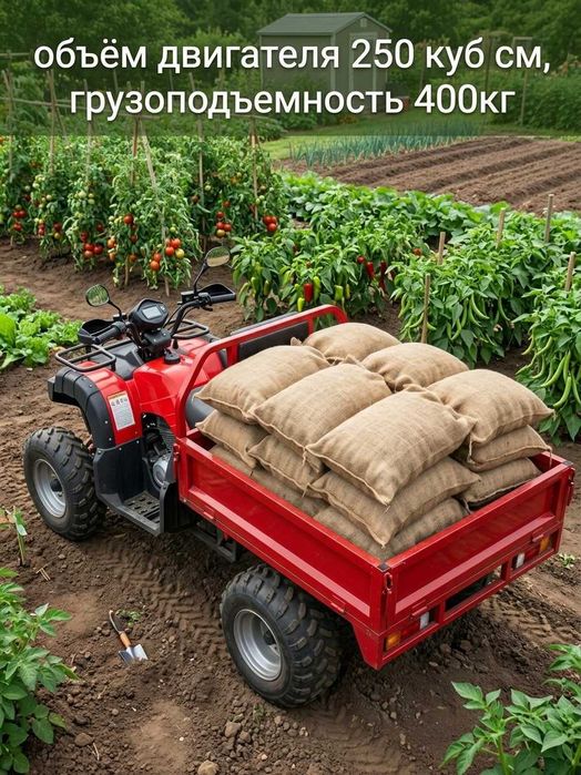 Помощник по хозяйству