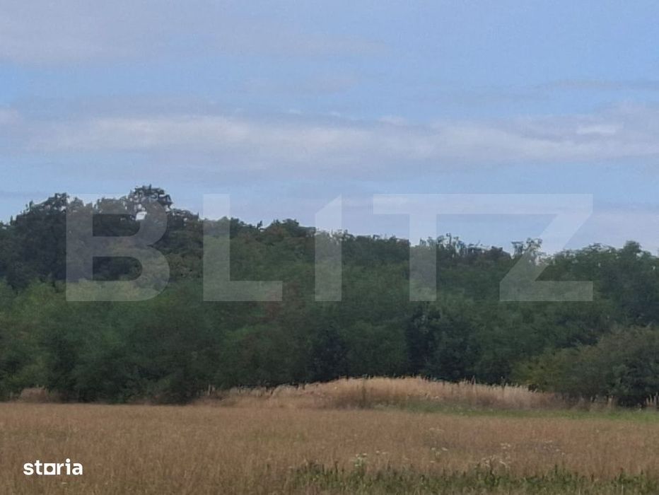 Padure de vanzare, 0,75 hectare, zona Suta Seaca