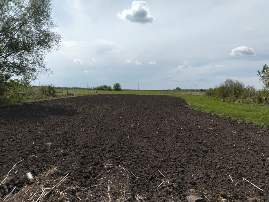 Продам дом, Бородулихинский район, село Поллог
