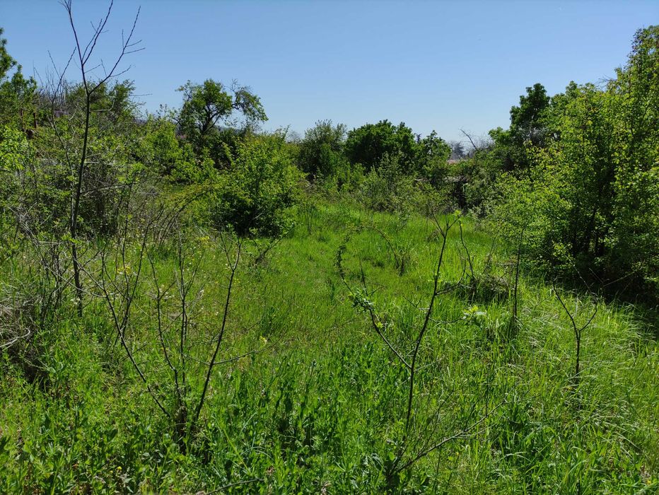 Продава се Парцел в Варна, Изгрев - 506 кв.м за 506 €/кв.м - Снимка #2