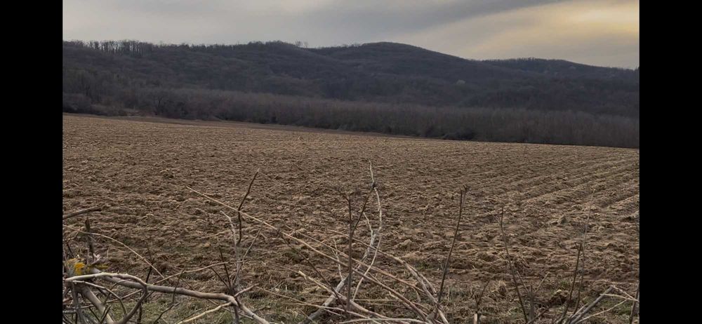 Парцел в село Илийно, мах.Средище