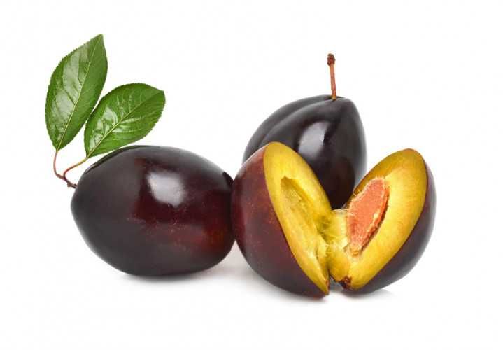 Optom Ko'chat | Nihol 100% garantiya