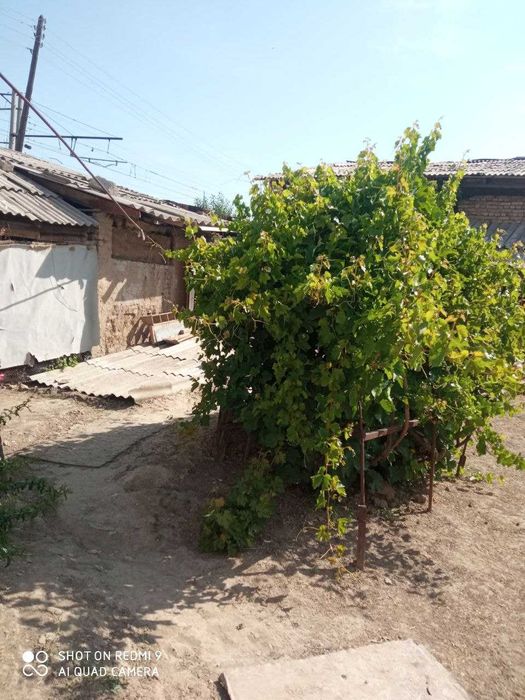 Uchastka дом xovli квартира зимла             Uy yer sotiladi продажа