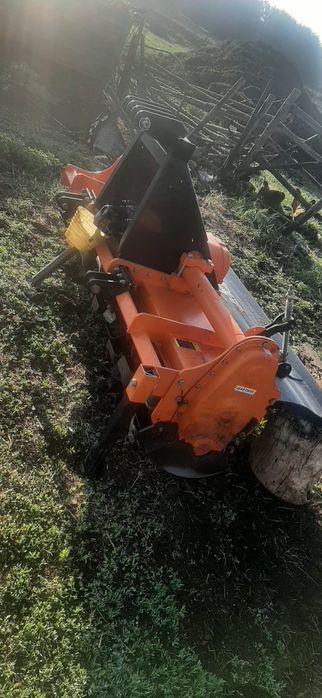 Почвофреза Индийская