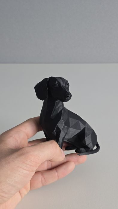 Dachshund/Teckel in miniatura