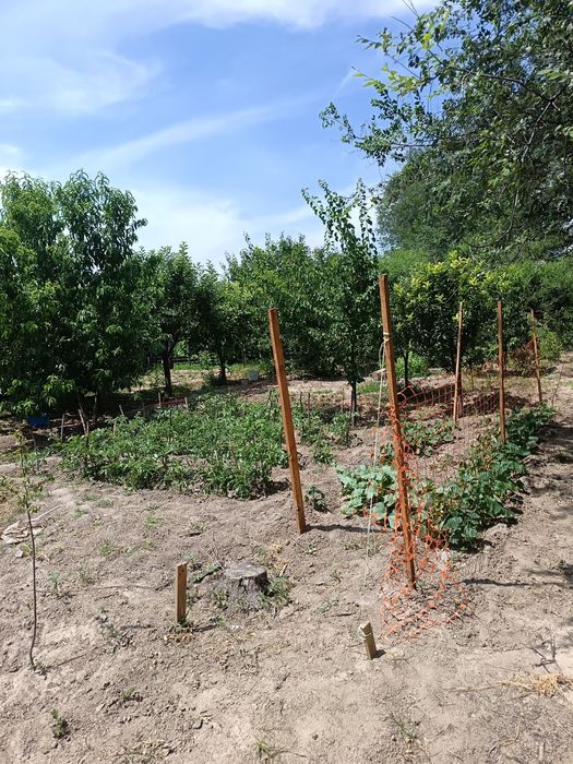 Продам дом г. Алатау