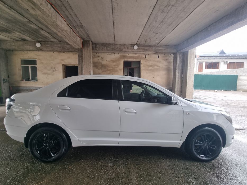 Kobalt,2025 midnight