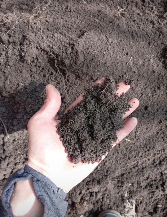 Қара топырақ черназем