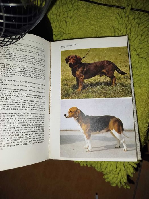 Книга Атлас пород собак