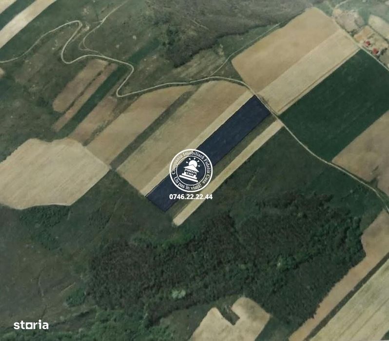 Teren Extravilan 20.700 mp de vanzare Schitu Duca