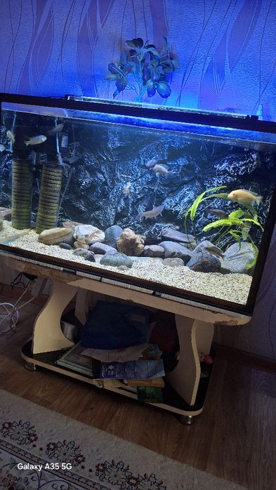 Аквариум полный комплект