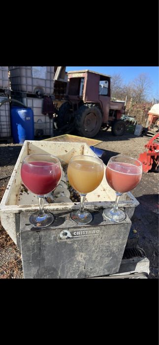 Vand must de calitate,prosus acasă,usor inasprit