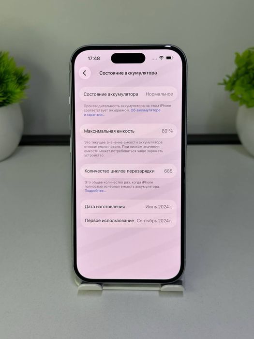 iPhone 15  АКБ: 89%  ЦП : 685 SSD: 128 GB;*%