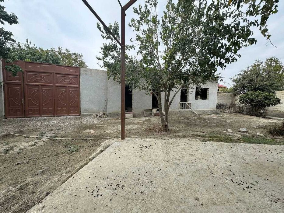 (Кармана Мохинур) Srochni  sotiladi  Karmana  Moxinur  tuyhona