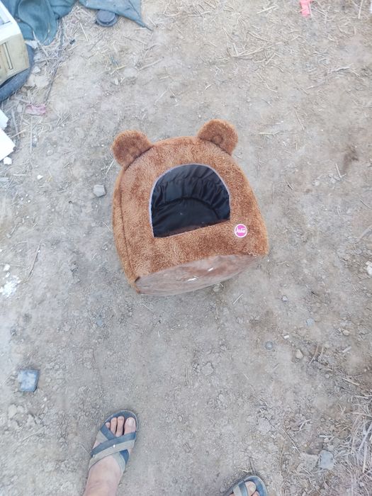 Дом для кошки без платно