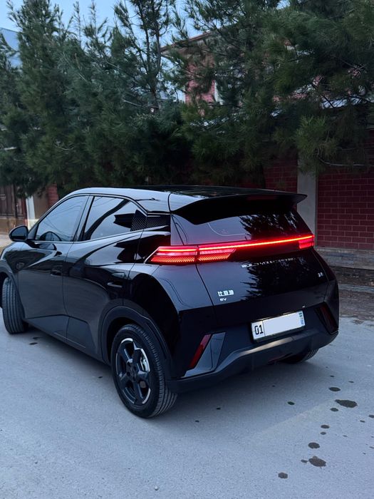 Byd Seagull сотилади