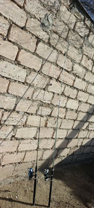 Дайын қалмақтар сатылады