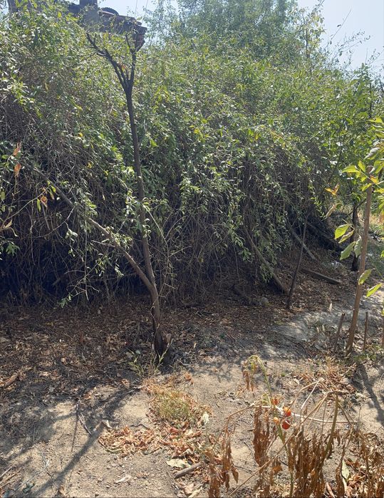 Продава се Къща в Оряхово - 89 кв.м за 201 €/кв.м - Снимка #6