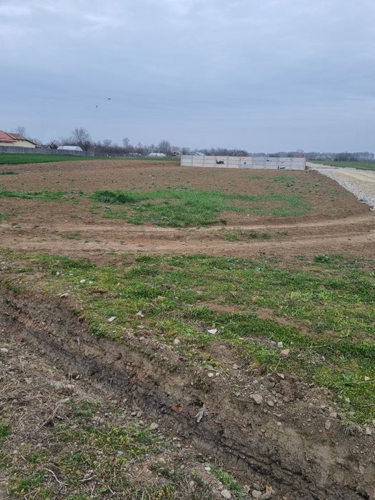 Teren intravilan Salcia 1097 mp – utilități aproape – ideal casă – 39.500 € negociabil