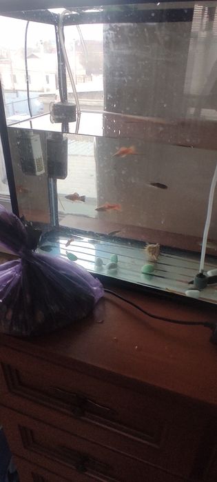 Продается аквариум с рыбками и пренадлежностями
