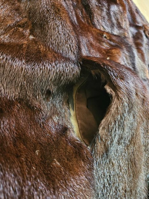 Haina de blana, nurca