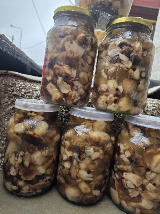 Продам грибы? валуи солёные.