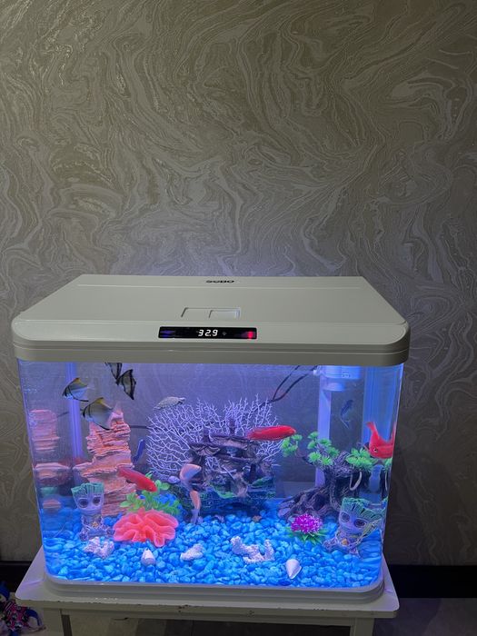 Akvaryum Xitoy Mini Akvarium 45 littlr