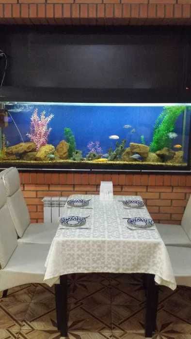 Обслуживание аквариума