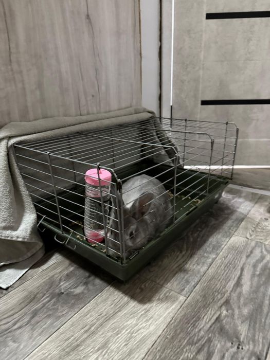 Клетка для грызунов