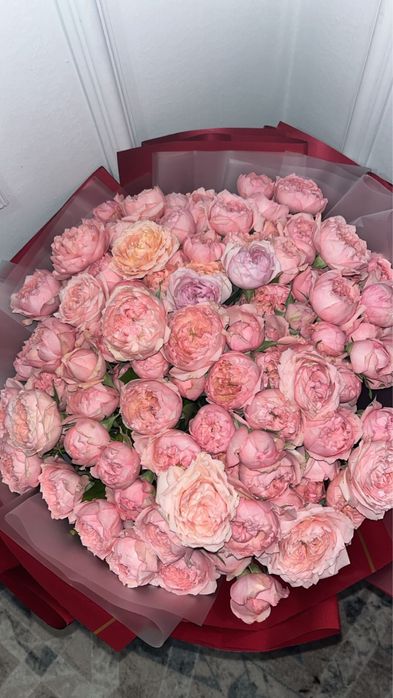 Гул пионы свежи