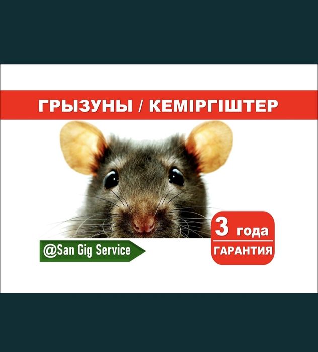 Уничтожение крыс и мышей