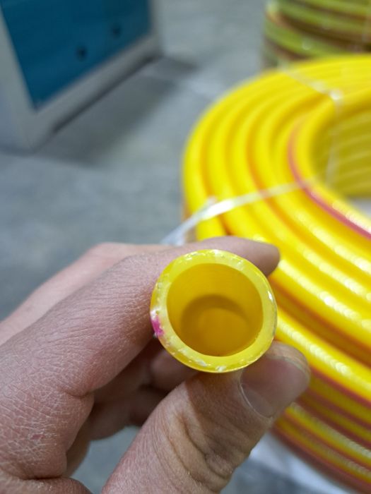 Pvs shlang xarxil turda