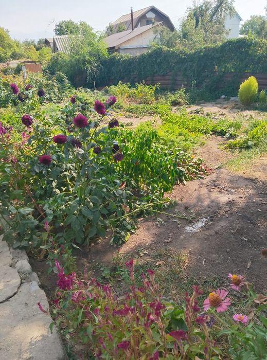 Продам дачу ,в хорошем состоянии