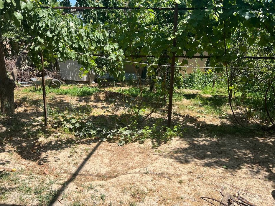 Sotiladi 6 sotih yer va 8 ta honasi bor chiroyli boģi bor


---

Сотил