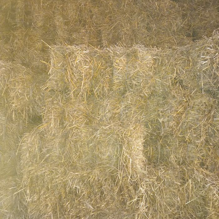 Vând baloți de lucernă și de paie