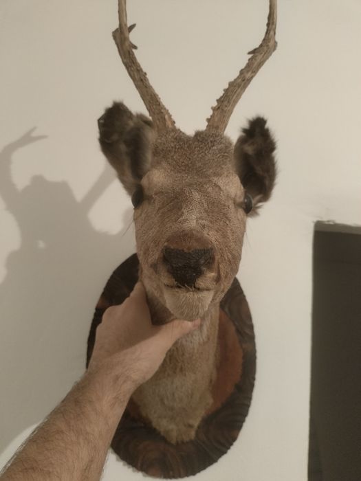 Продаю вещей по баню