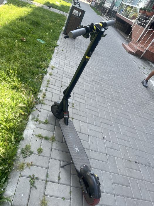 Trotineta lergo